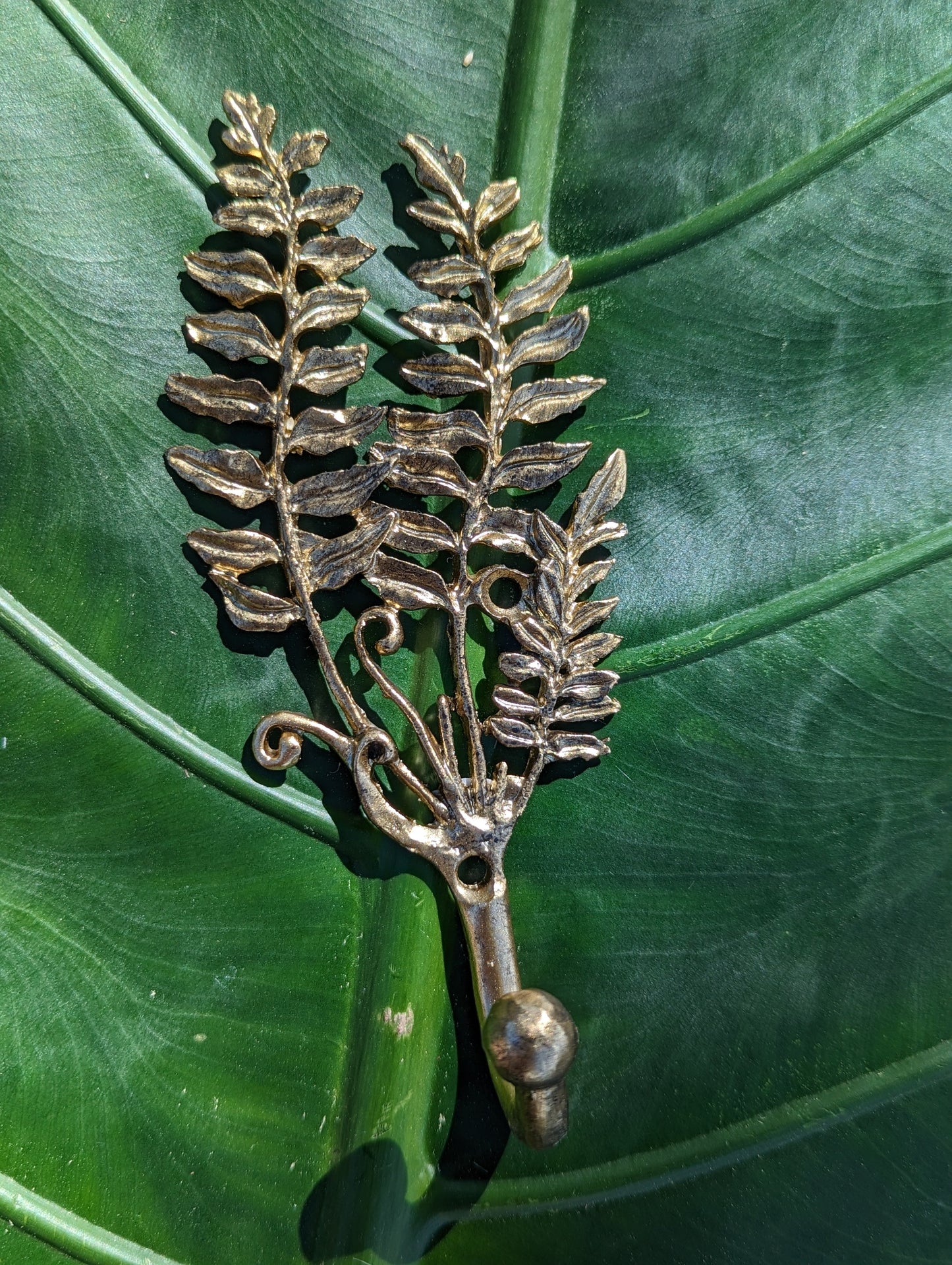 Fern Wall Hanger