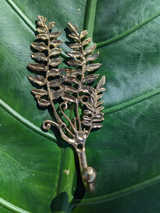 Fern Wall Hanger